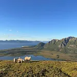Charming In Lofoten With Stunning Sea View, Vagan, Wifi Tatil Evi