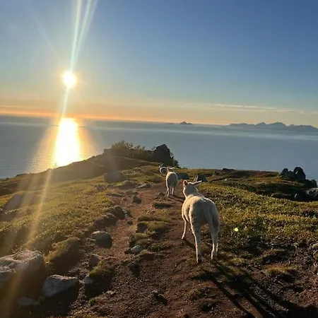 Lofoten Sea View