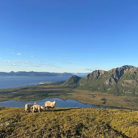 Lofoten Sea View Holiday home