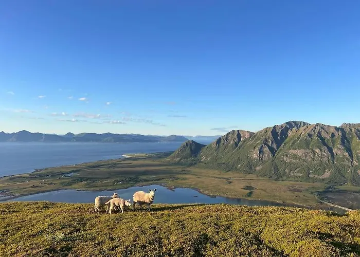 Koselig I Lofoten, Sjo, Fjellutsikt, Parkering Dom wakacyjny